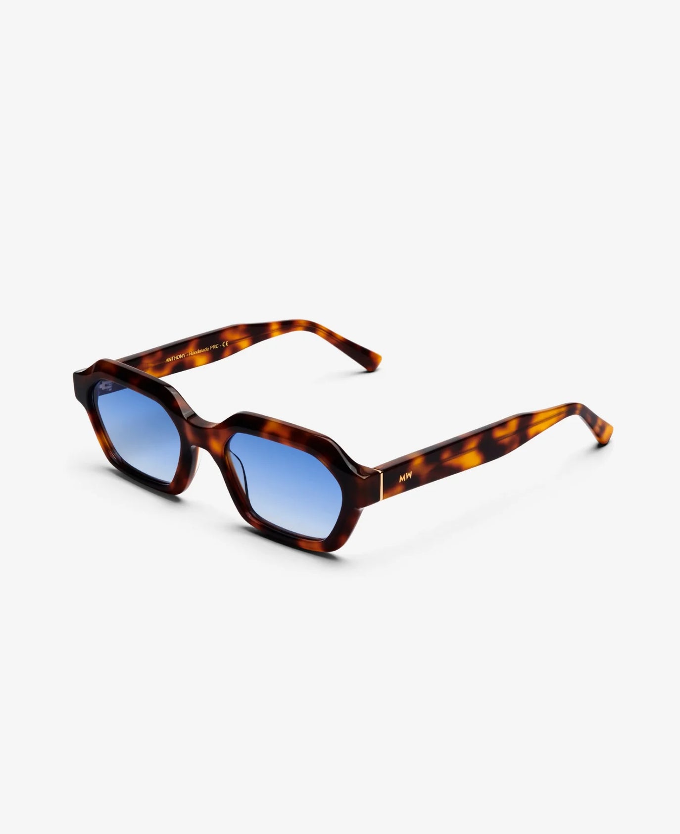 Lunettes Anthony - Havana avec Verres Bleu Dégradé